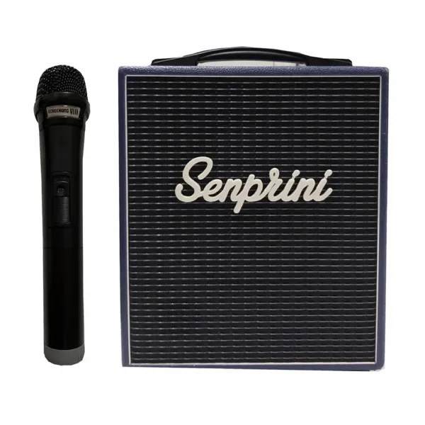 اکو همراه اکو چنگ سافاری به همراه میکروفون بیسیم